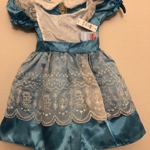Disney Dresses - Alice in wonderland Disney Dresses - Alice in wonderland